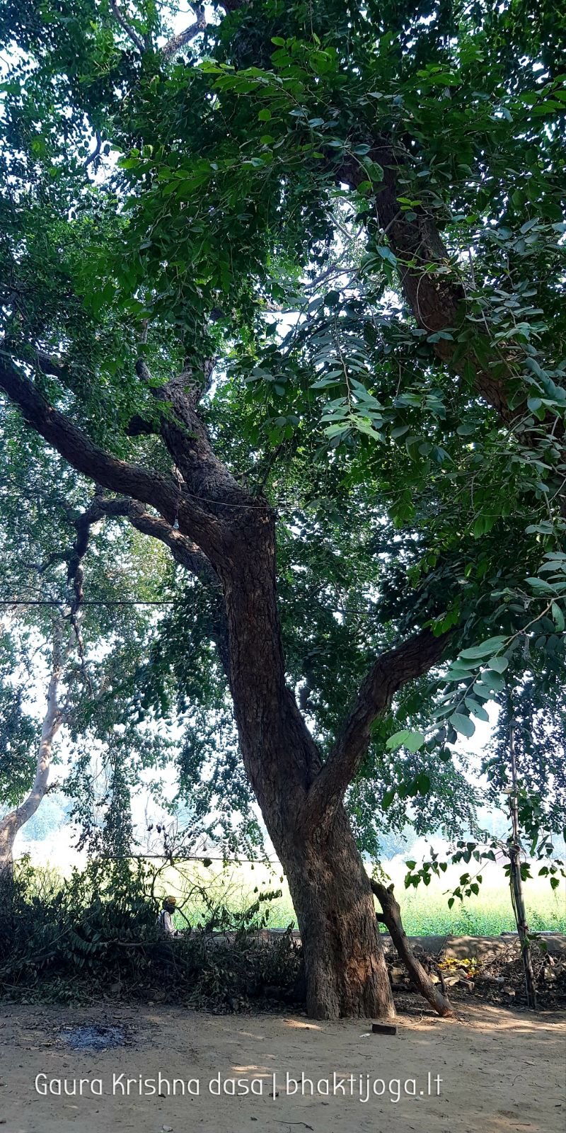  Varshana parikrama and preaching. 2019.12.10